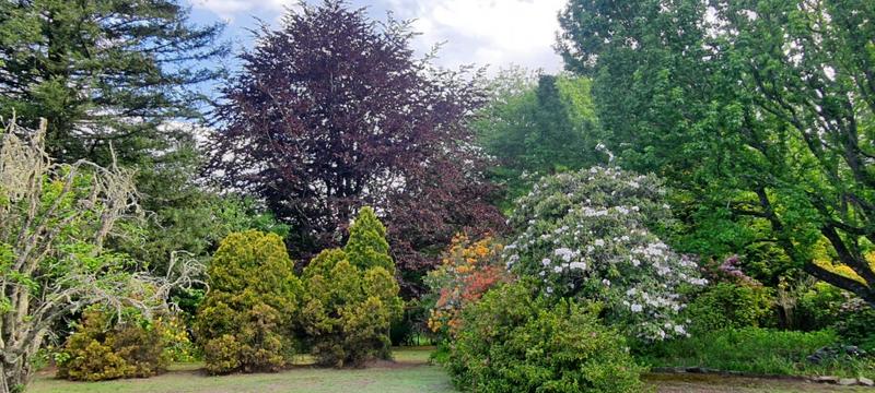 3 Bedroom Property for Sale in Hogsback Eastern Cape